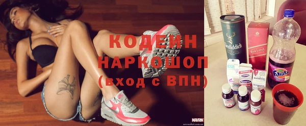 индика Краснослободск