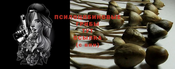 индика Краснослободск