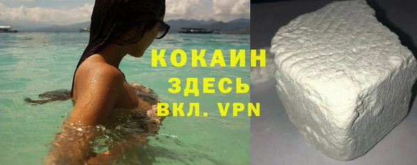 индика Краснослободск