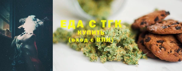 индика Краснослободск