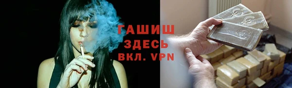 индика Краснослободск