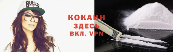 индика Краснослободск