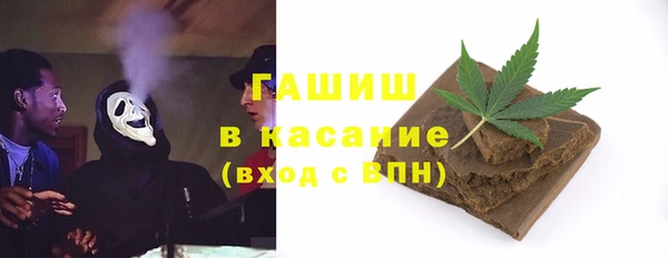индика Краснослободск