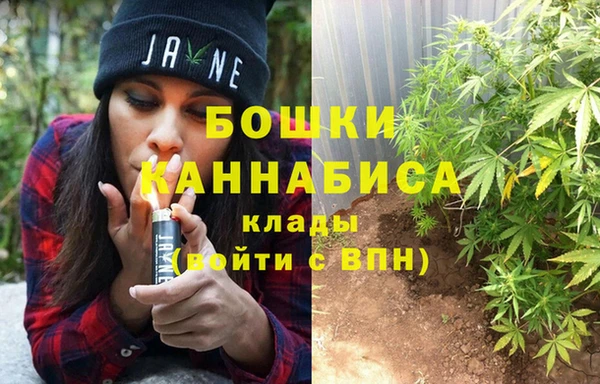 индика Краснослободск