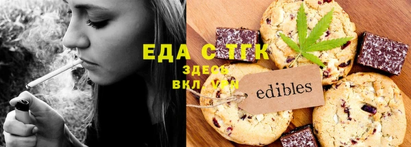 индика Краснослободск