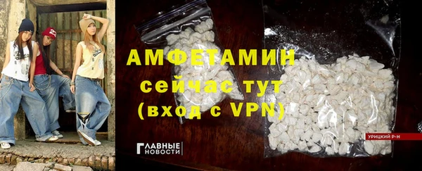индика Краснослободск