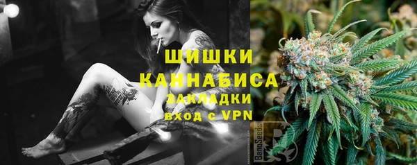 индика Краснослободск