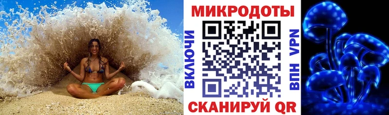 хочу наркоту Кодинск Галлюциногенные грибы мицелий